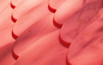 Chynhale plastic roof costs