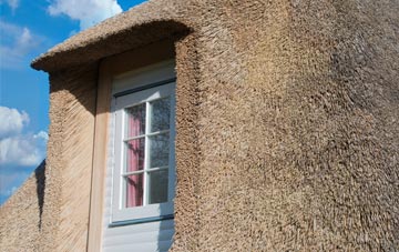 Chynhale thatch roof disadvantages
