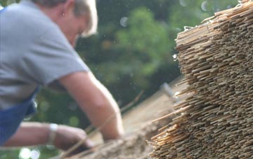 professional Chynhale thatchers